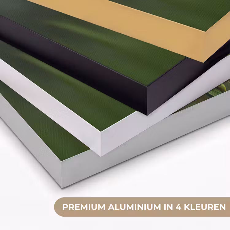 Art Frame - Bloem - Gladiolen - Zalmroze — 2
