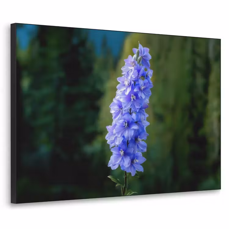 Art Frame - Bloemen - Blauw - Dennenboom — 1