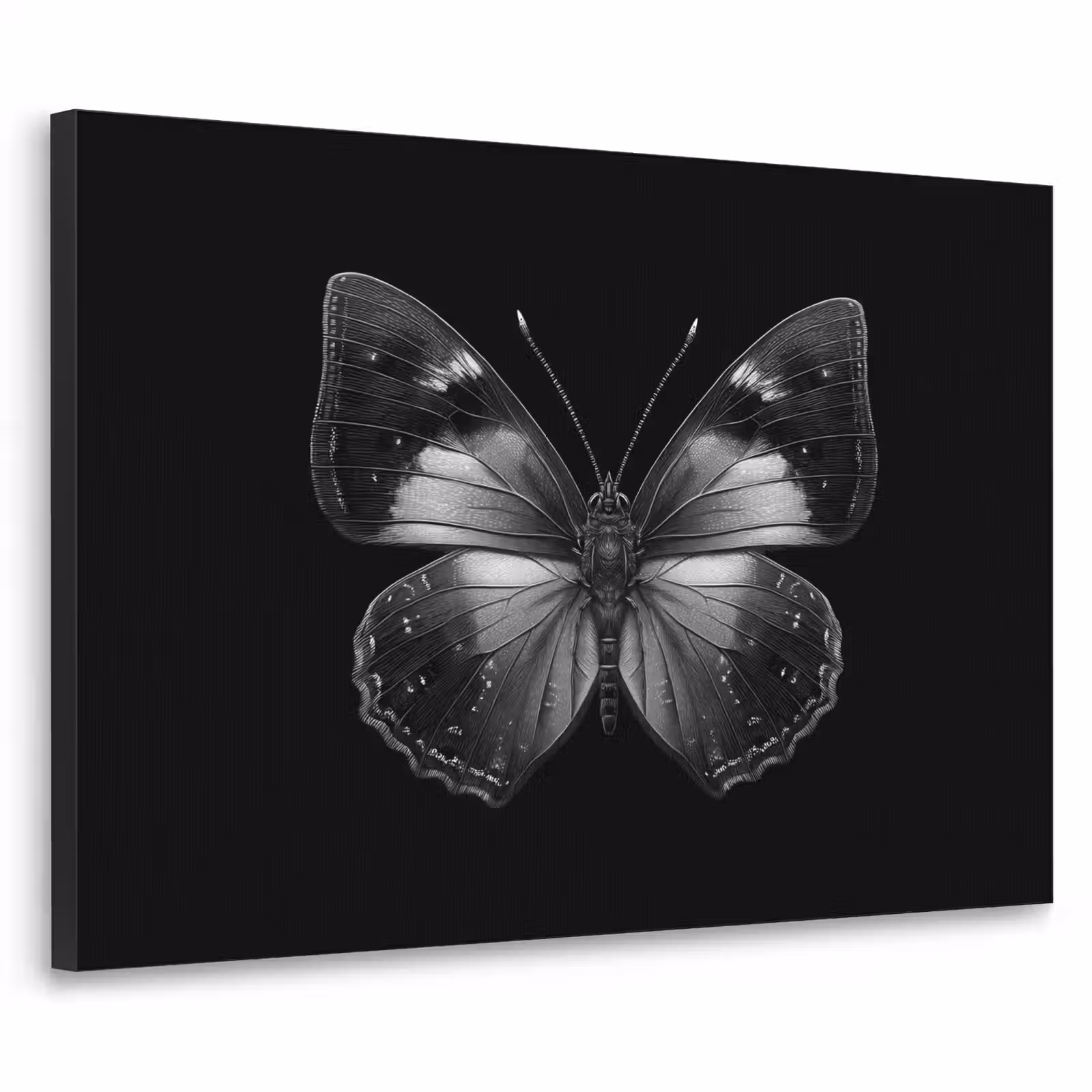 Art Frame - Vlinder - Grijs - Mysterieus — 1