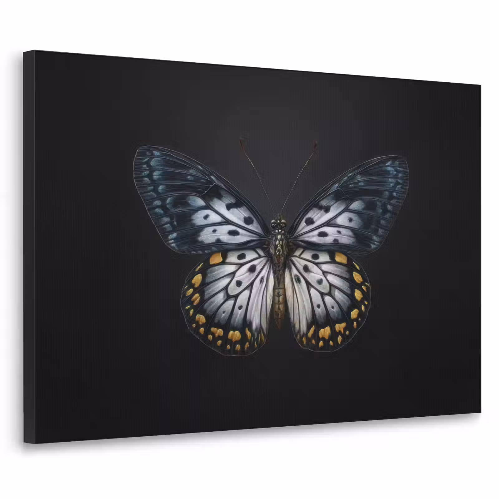 Art Frame - Vlinder - Monochroom - Balans — 1