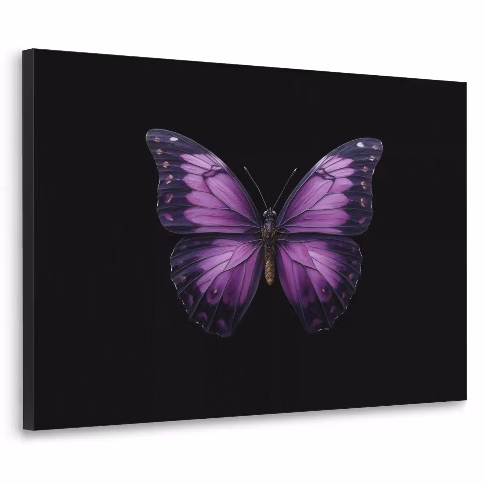 Art Frame - Vlinder - Paars - Levendig — 1