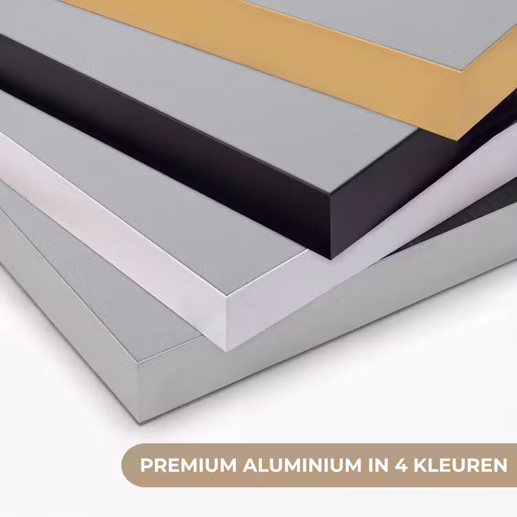 Art Frame - Coltrui - Hond - Bril - Mok — 2