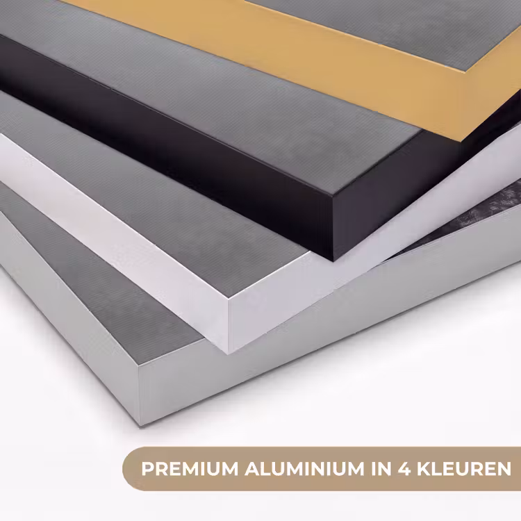 Art Frame - Hond - Krullen - Zonnebril - Wijn — 2
