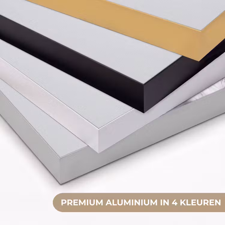 Art Frame - Kat - Zonnebril - Wijnglas - Langharig — 2
