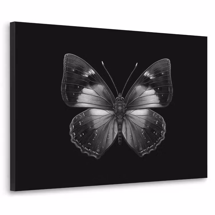 Art Frame - Vlinder - Grijs - Mysterieus — 1