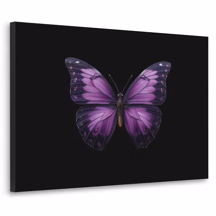 Art Frame - Vlinder - Paars - Levendig — 1