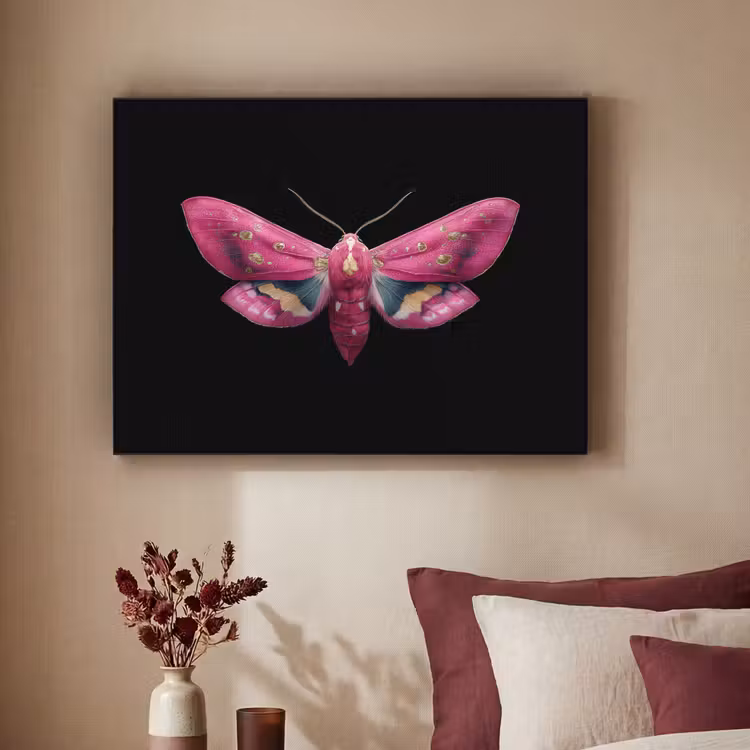 Art Frame - Vlinder - Roze - Nachtvlinder — 3