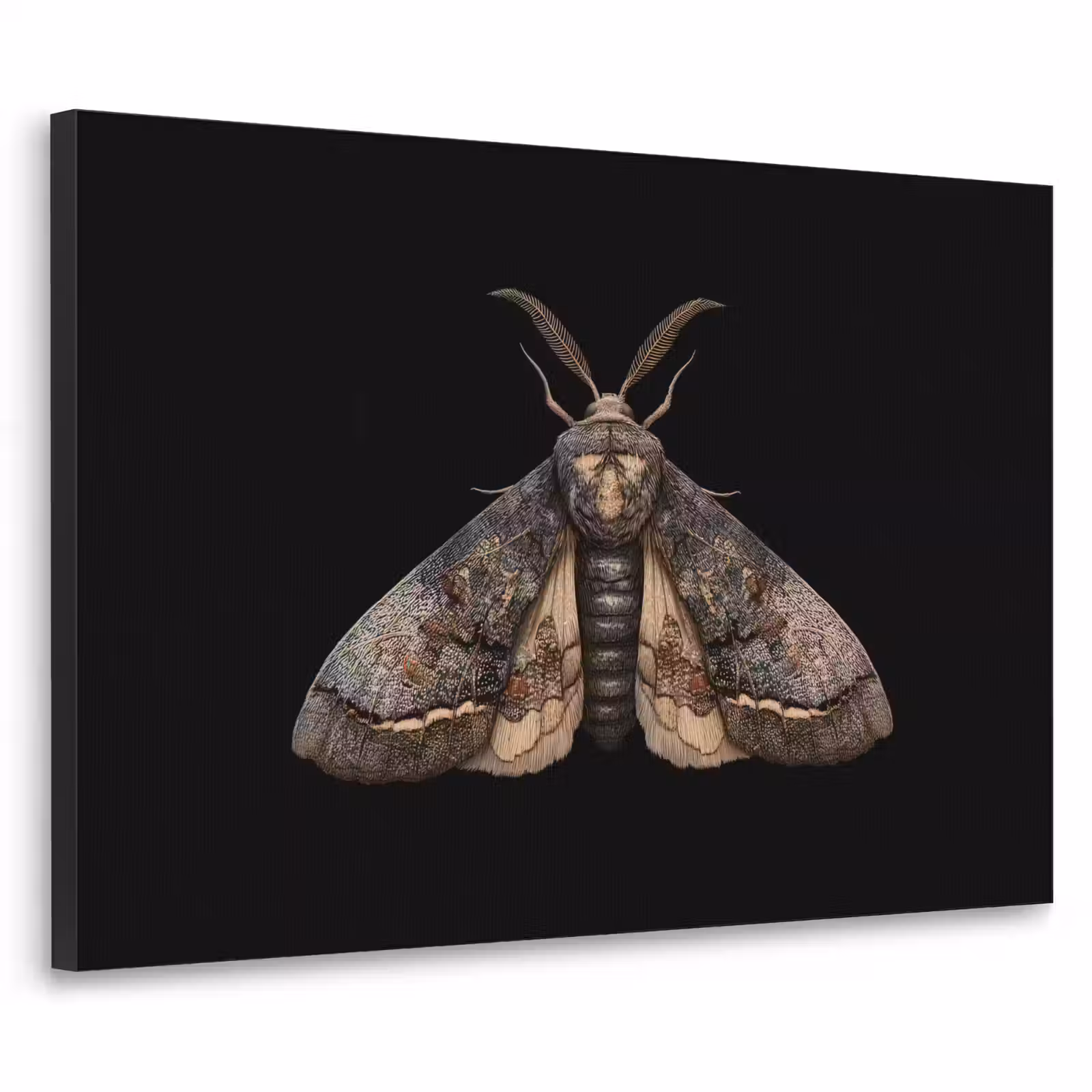 Art Frame - Mot - Bladachtig - Grijs — 1