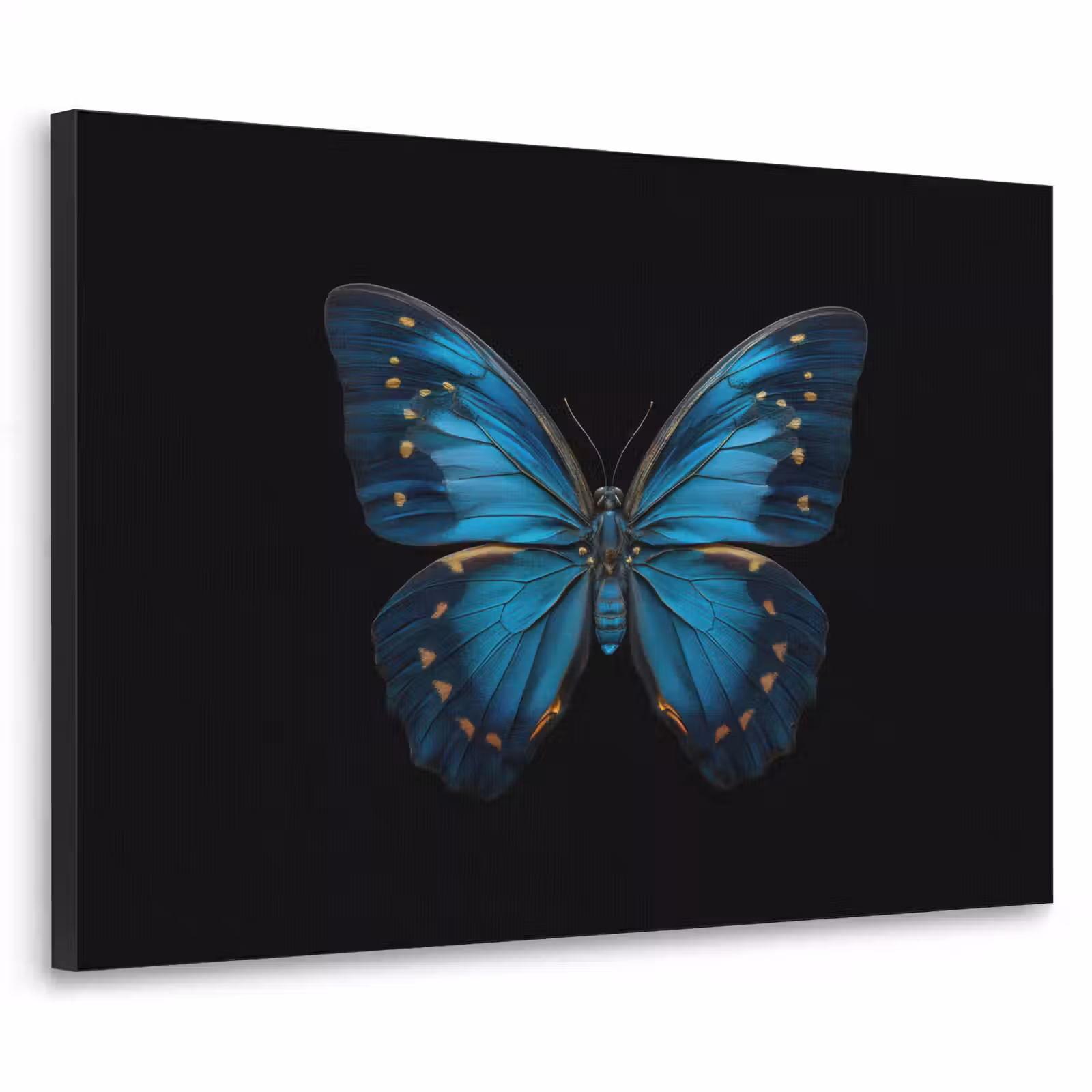Art Frame - Vlinder - Blauw - Contrast — 1