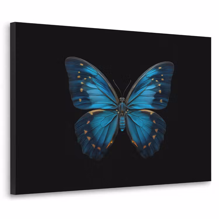 Art Frame - Vlinder - Blauw - Contrast — 1
