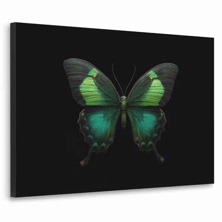 Art Frame - Vlinder - Groen - Opvallend — 1