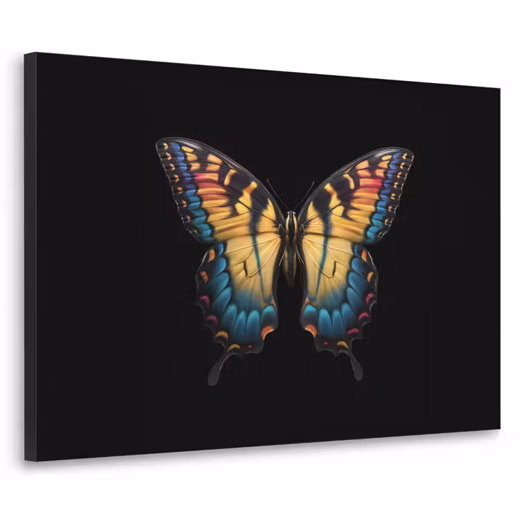 Art Frame - Vlinder - Kleurrijk - Speels — 1