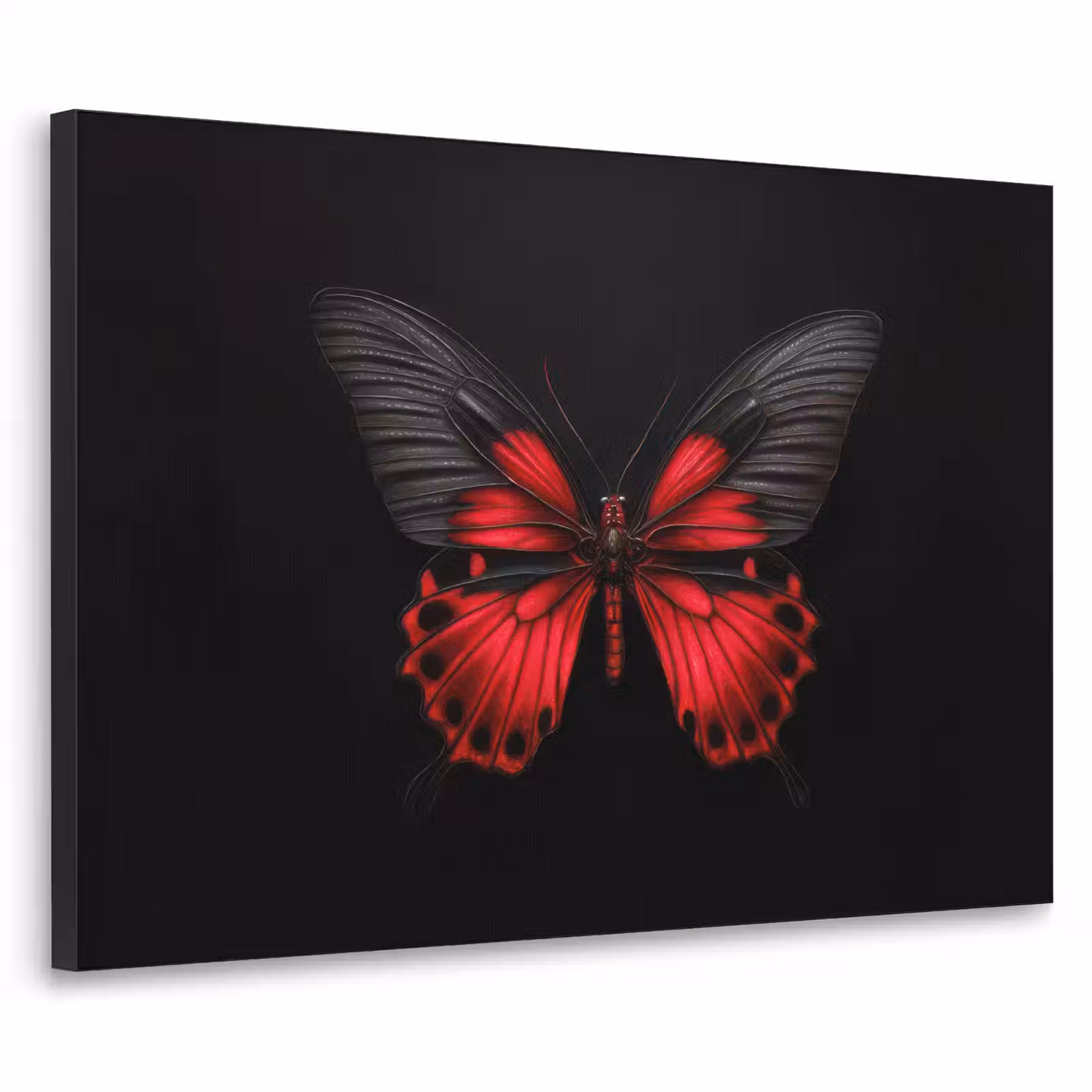 Art Frame - Vlinder - Rood - Contrast — 1