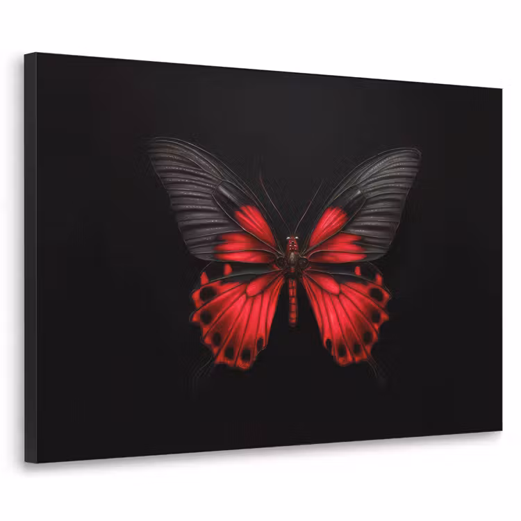 Art Frame - Vlinder - Rood - Contrast — 1