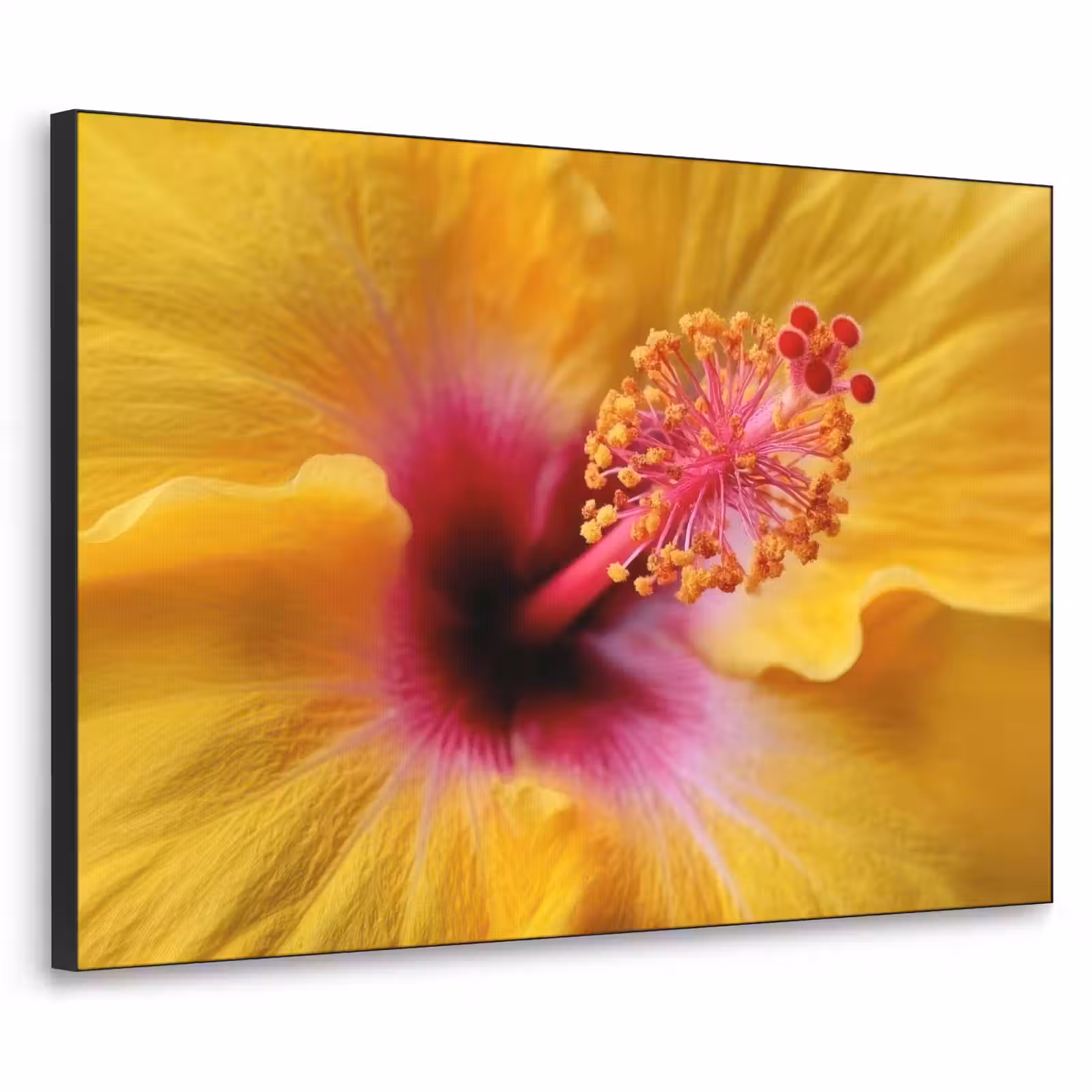 Art Frame - Geel - Hibiscus - Tropisch — 1
