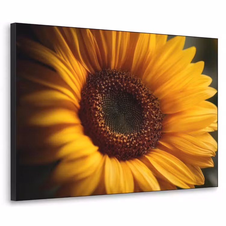 Art Frame - Geel - Zonnebloem - Zomers — 1