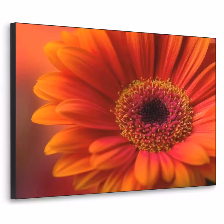 Art Frame - Oranje - Gerbera - Intens — 1