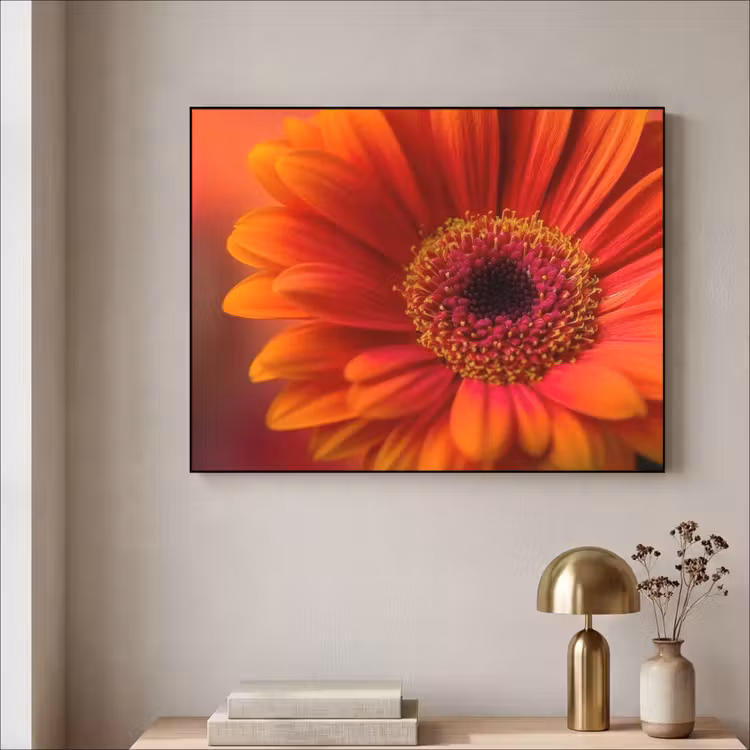 Art Frame - Oranje - Gerbera - Intens — 5