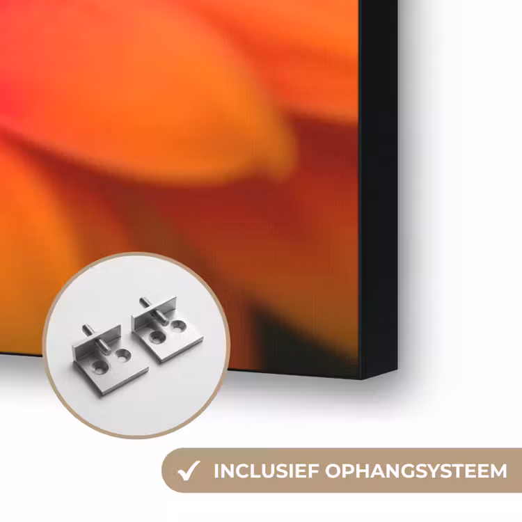 Art Frame - Oranje - Gerbera - Intens — 6