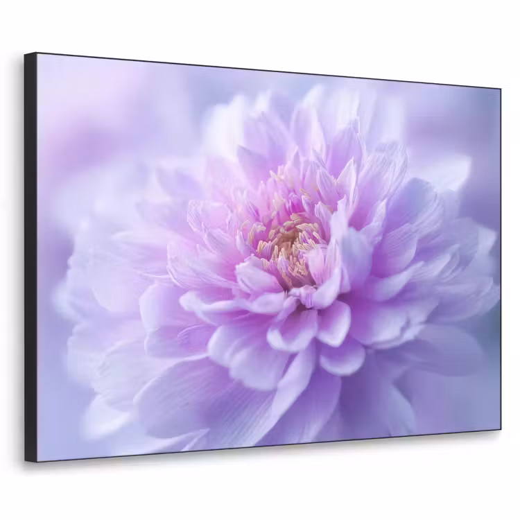 Art Frame - Paars - Dahlia - Dromerig — 1