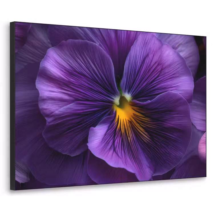 Art Frame - Paars - Viool - Diepte — 1