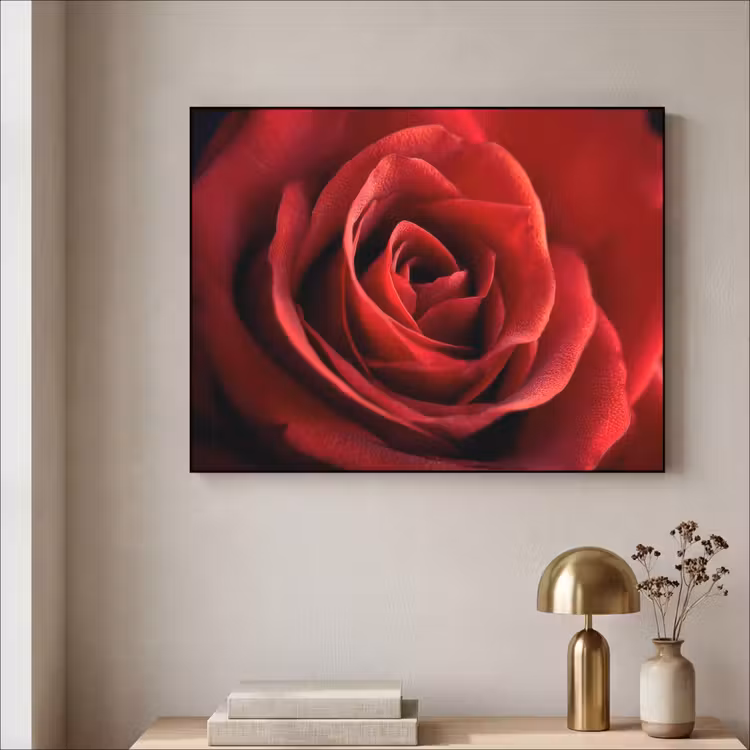 Art Frame - Rood - Roos - Romantisch — 5