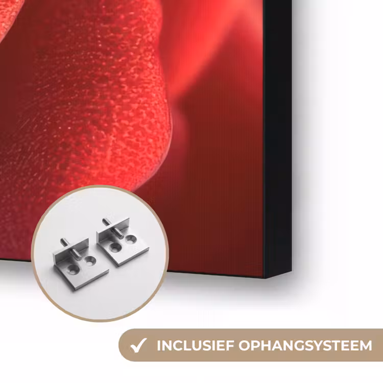 Art Frame - Rood - Roos - Romantisch — 6