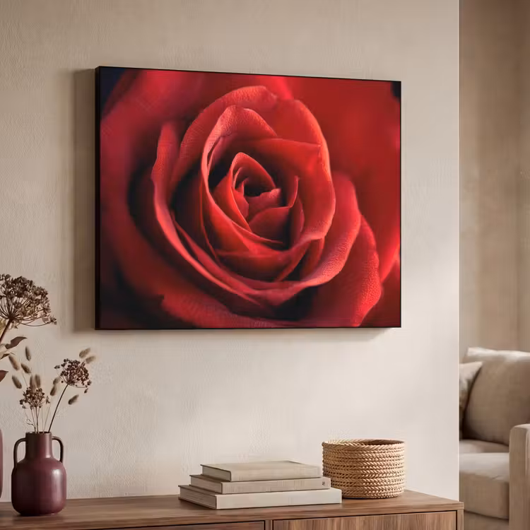 Art Frame - Rood - Roos - Romantisch — 7