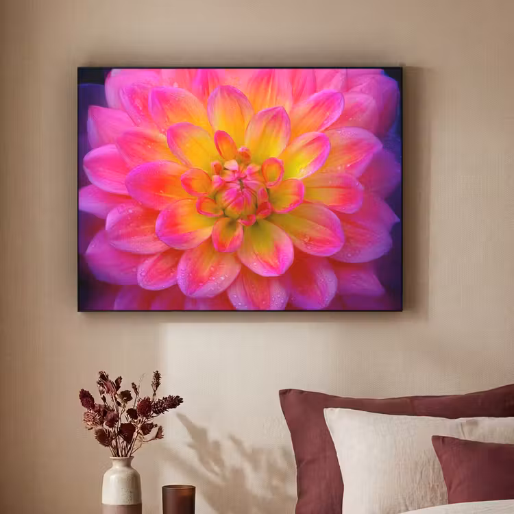 Art Frame - Roze - Dahlia - Kleurrijk — 3