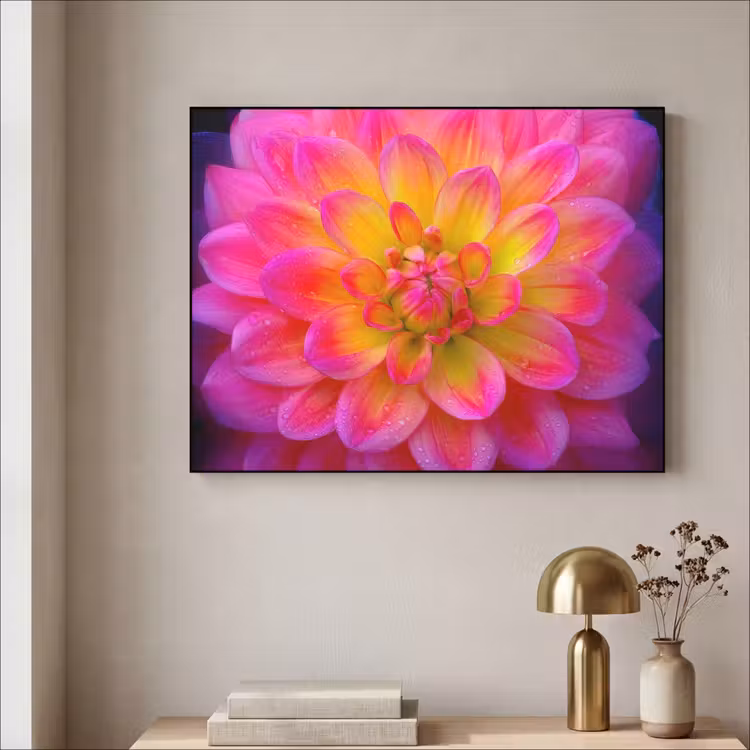 Art Frame - Roze - Dahlia - Kleurrijk — 5