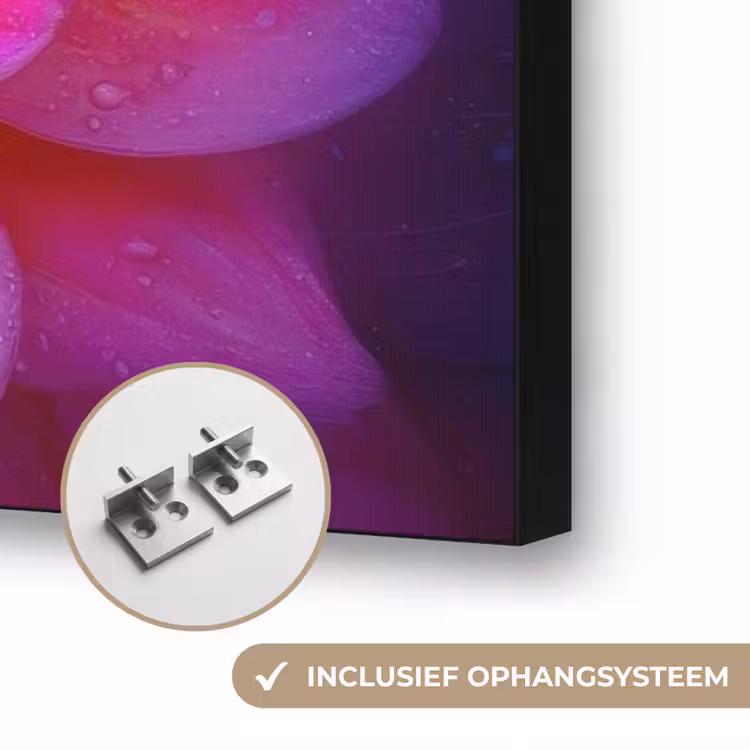 Art Frame - Roze - Dahlia - Kleurrijk — 6