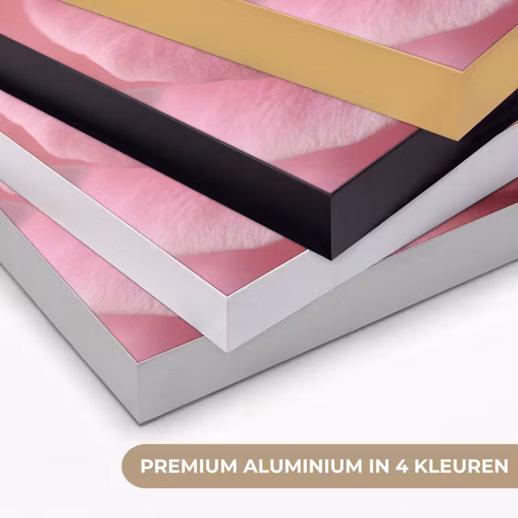 Art Frame - Roze - Roos - Romantisch — 2