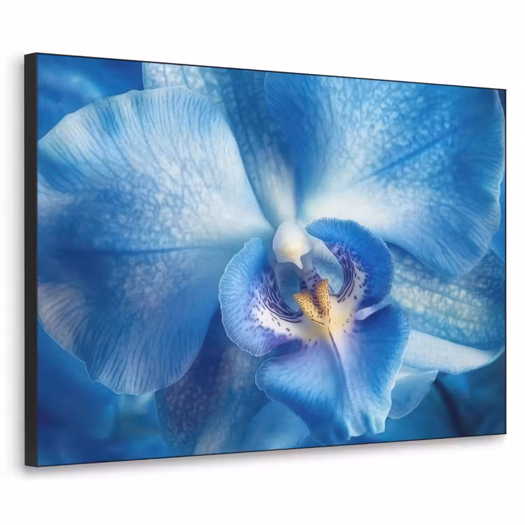 Art Frame - Blauw - Orchidee - Elegeant — 1