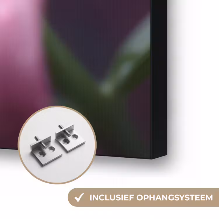 Art Frame - Roze - lelie - Dauwdruppels — 6