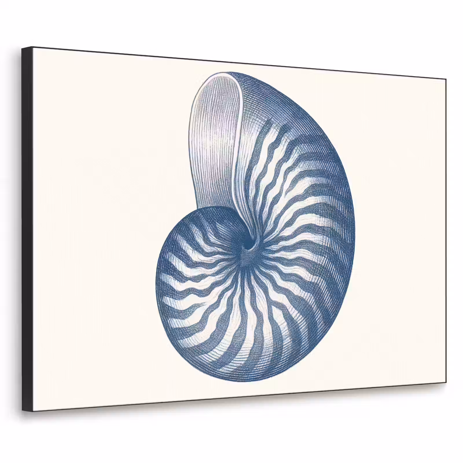 Art Frame - Blauw - Schelp - Spiraal — 1