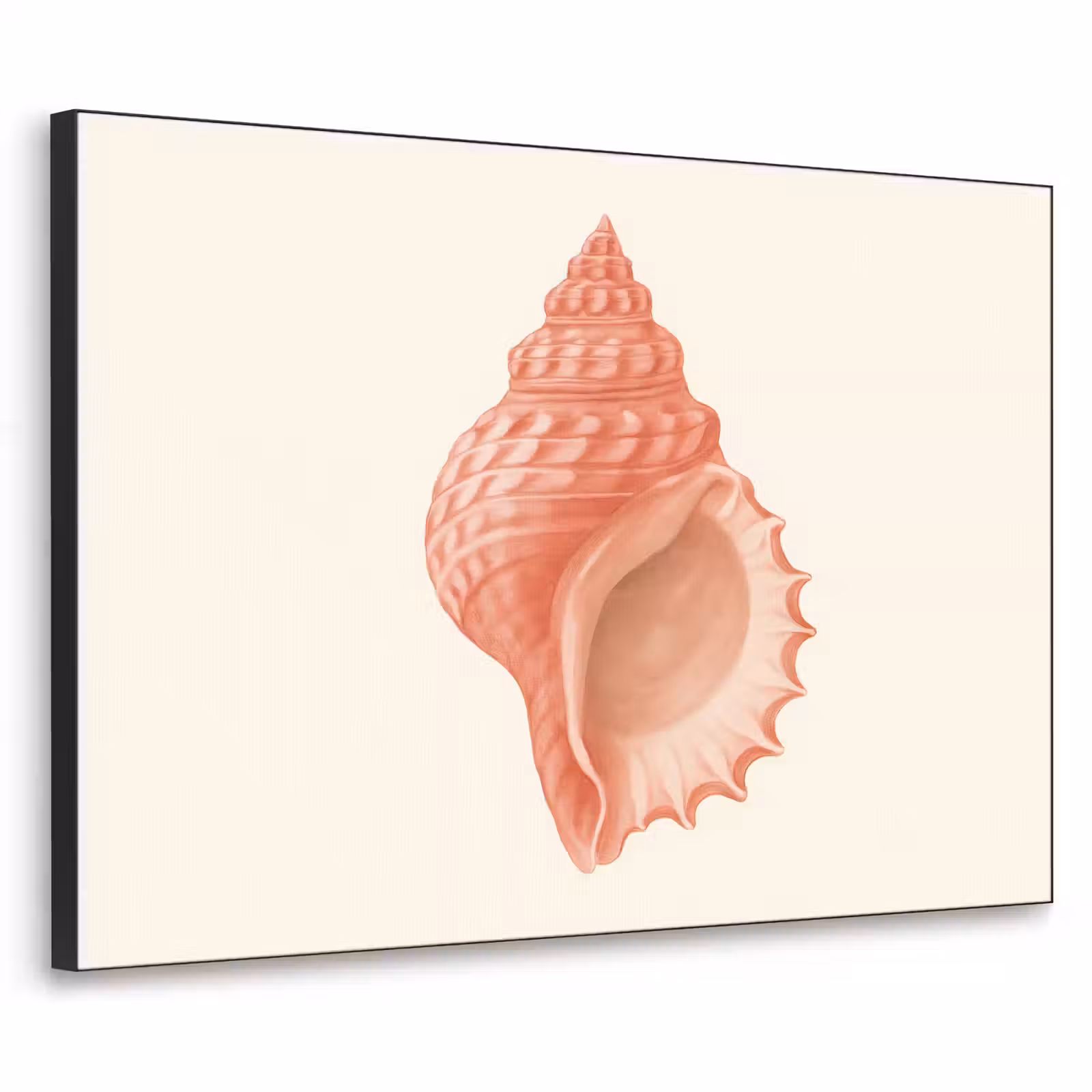 Art Frame - Schelp - Roze - Structuur — 1