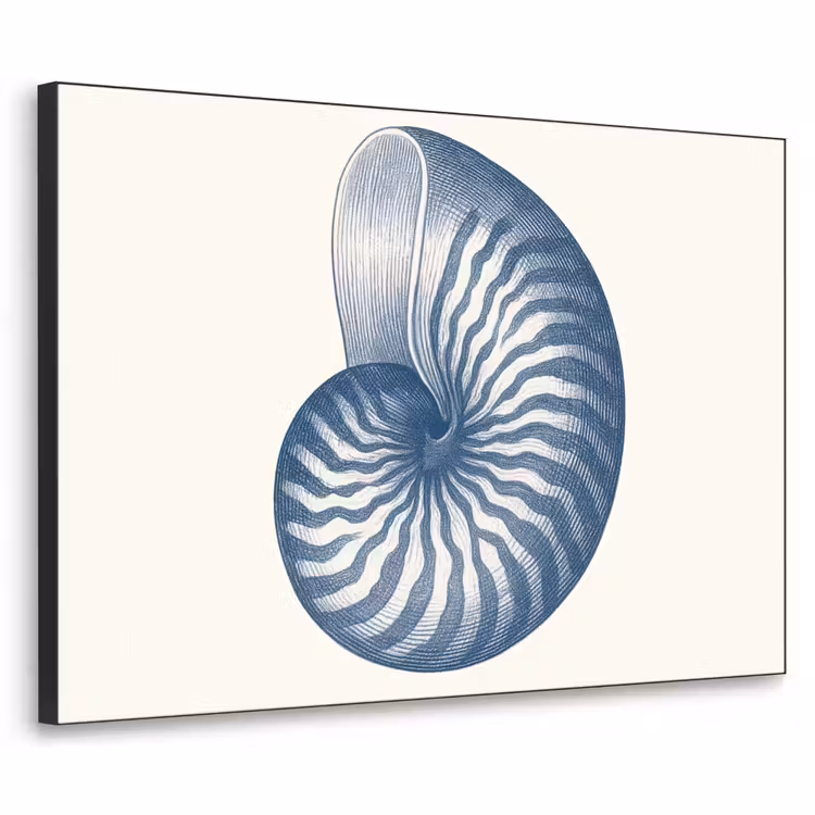 Art Frame - Blauw - Schelp - Spiraal — 1