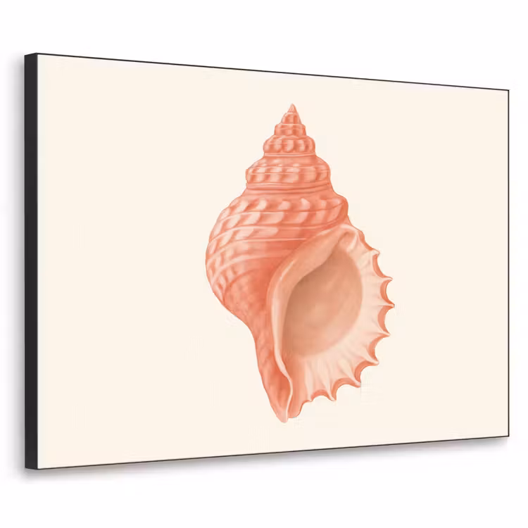Art Frame - Schelp - Roze - Structuur — 1
