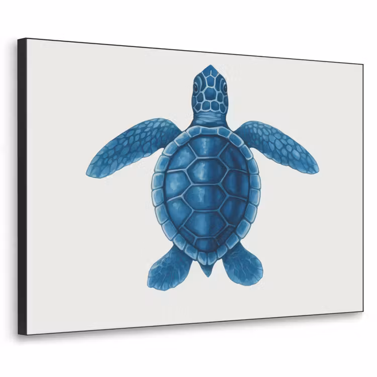 Art Frame - Schildpad - Blauw - Schild — 1