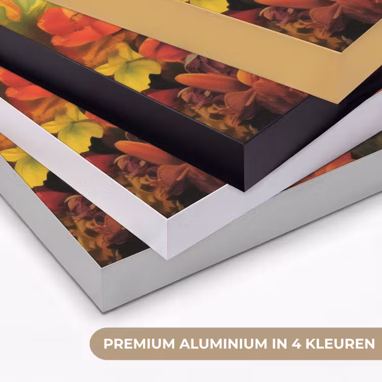 Art Frame - Vrouw - Bloemen - Papegaai - Schilderachtig — 2