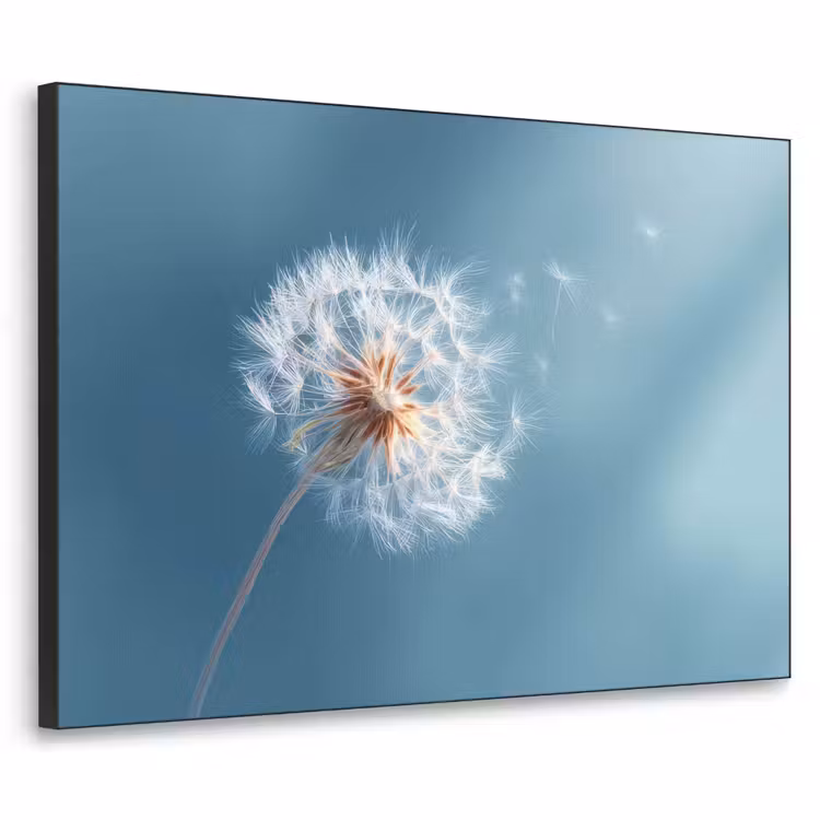 Art Frame - Paardenbloem - Wind - Blauw — 1