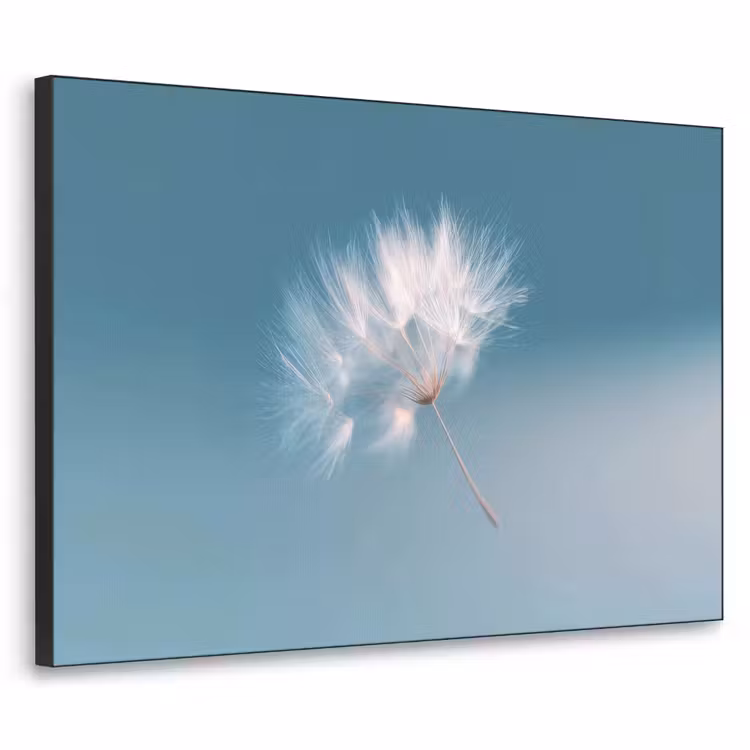 Art Frame - Paardenbloempluisje - Blauw - Lucht — 1