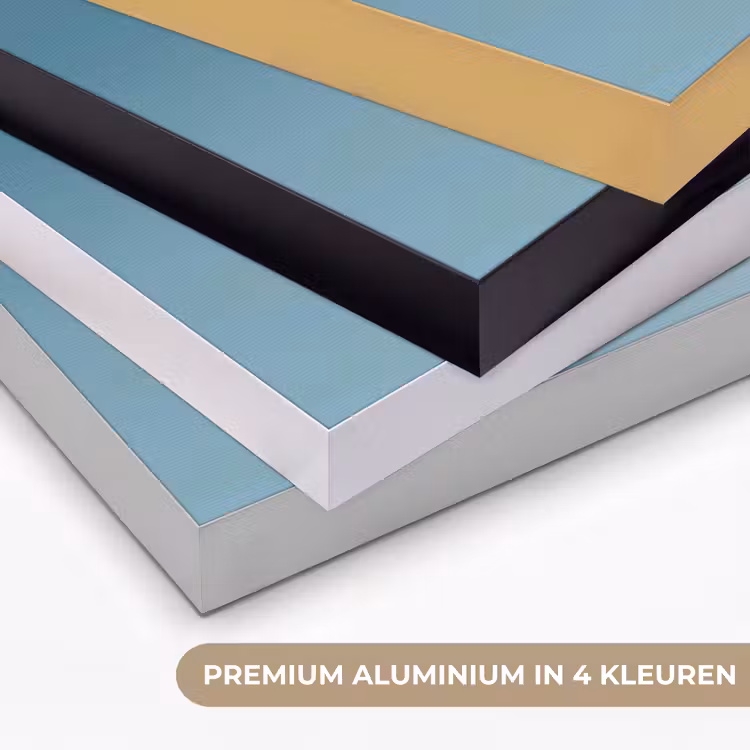 Art Frame - Paardenbloempluisje - Blauw - Lucht — 2