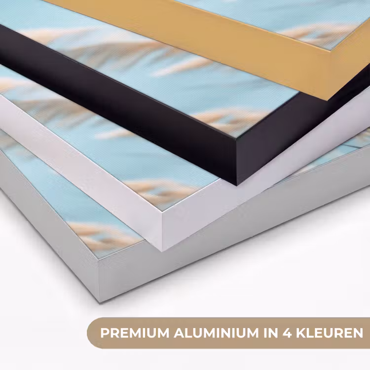 Art Frame - Siergras - Wind - Lichtbruin — 2