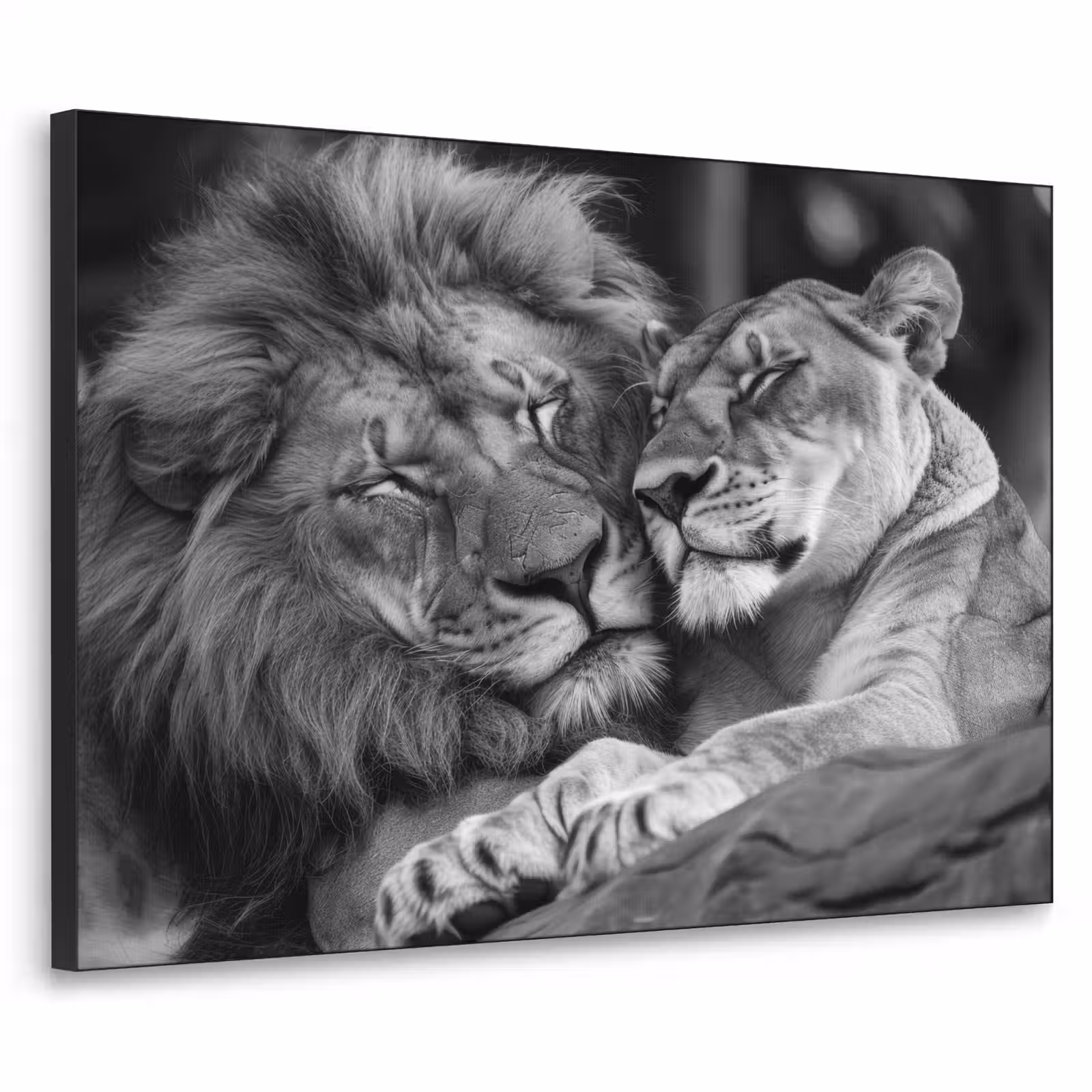 Art Frame - Leeuwen - Dieren - Zwart - Wit - Leeuw — 1