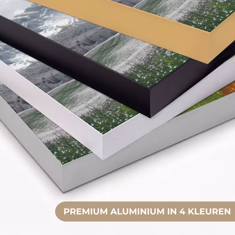 Art Frame - Landschap - 4 seizoenen - Natuur - Winter - Lente - Zomer - Herfst — 2