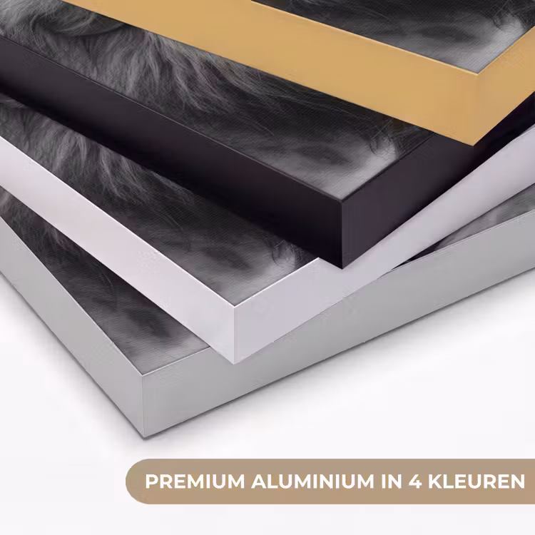 Art Frame - Leeuwen - Dieren - Zwart - Wit - Leeuw — 2
