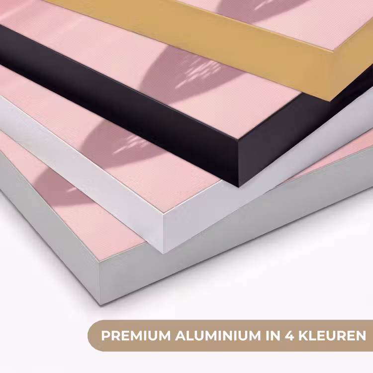 Art Frame - Grapefruit - Roze - Disco - Shiny — 2