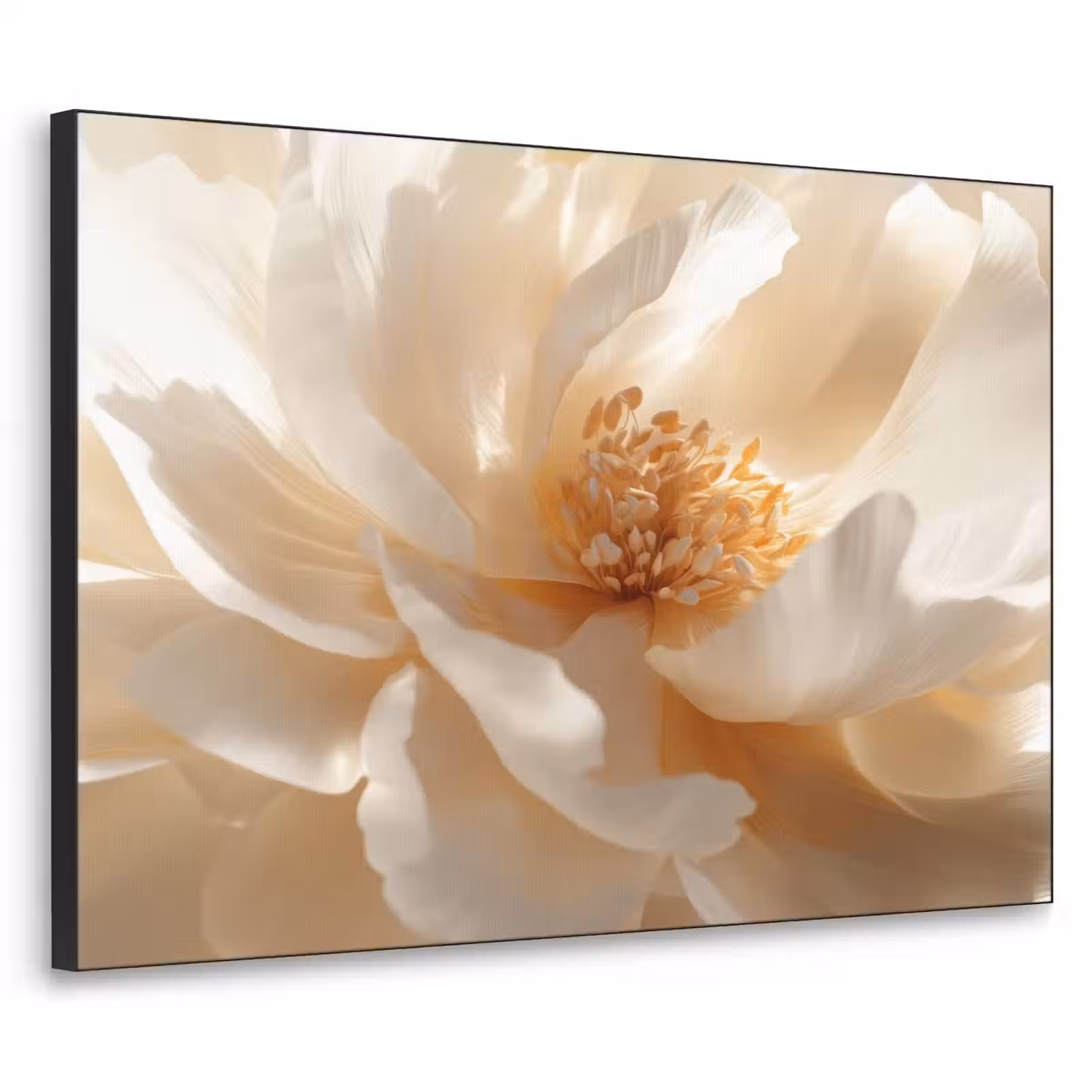 Art Frame - Close up - Pioenroos - Wit — 1