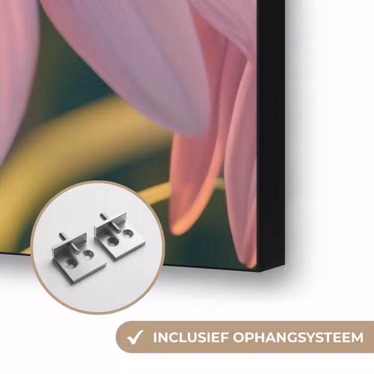 Art Frame - Bloemen - Paars - Bijen — 6